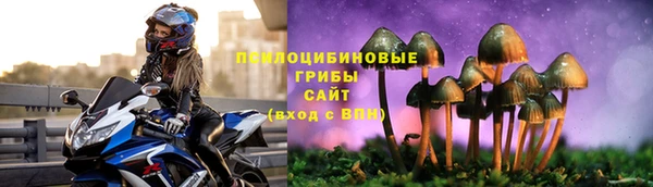 бошки Кинешма