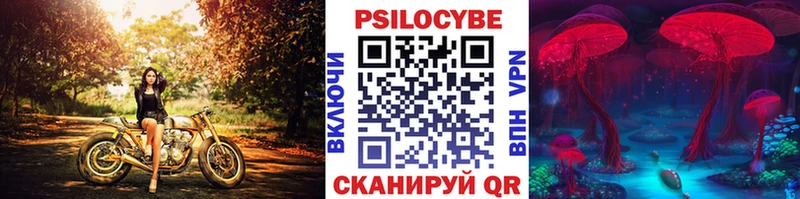 Купить закладки  Кимры  Псилоцибиновые грибы Cubensis 